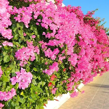 Telhinis Hotel&apartments